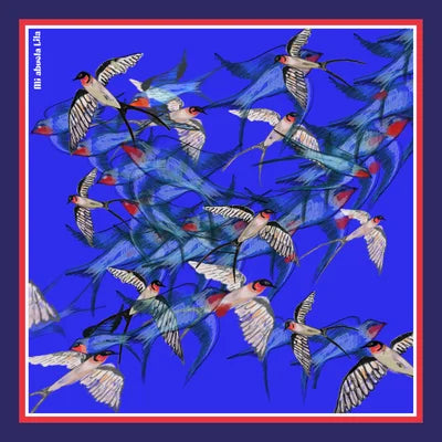 Pañuelo Banda Klein y marino