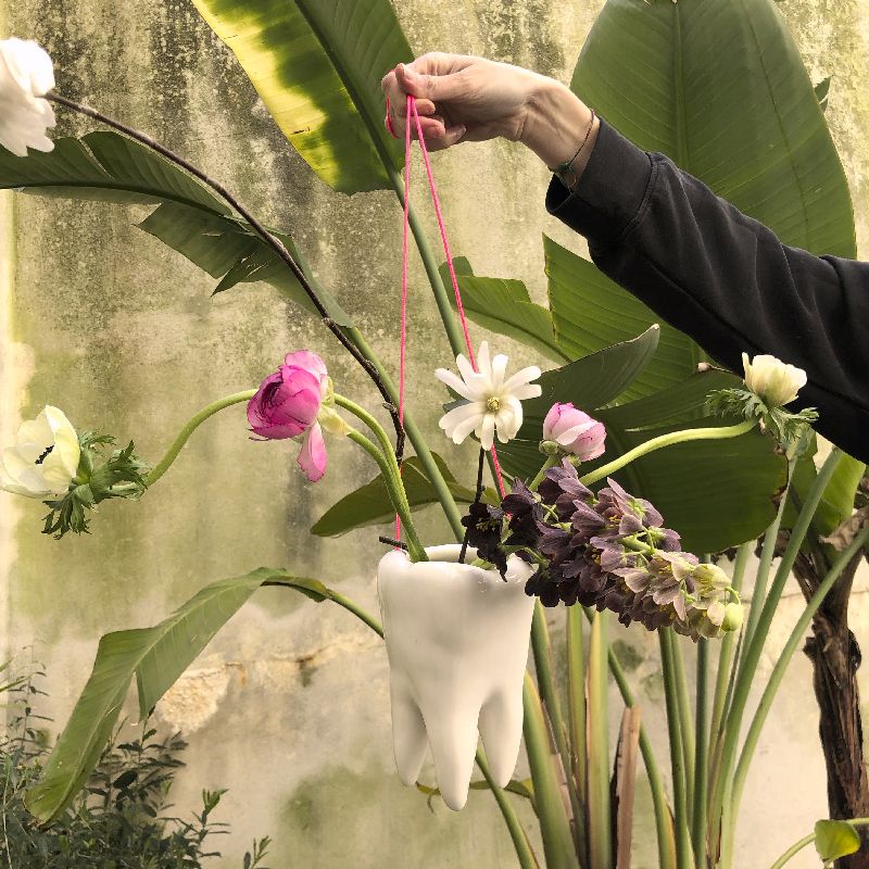 Maceta Molar decorativa