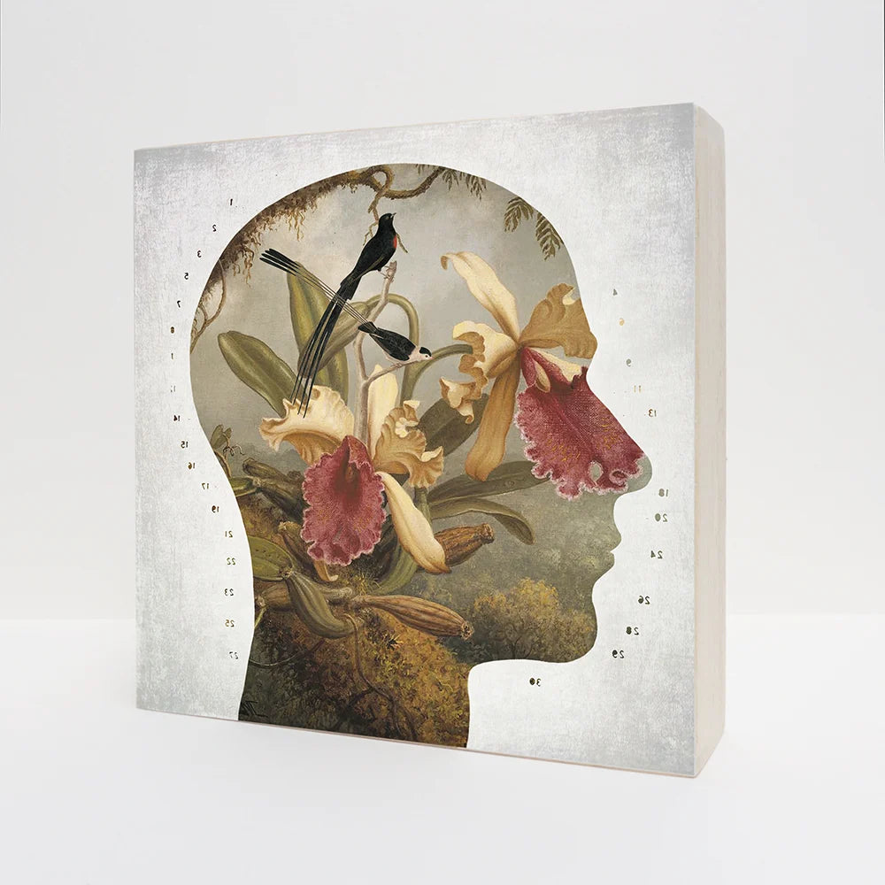 Caja de luz Perfil Botanico