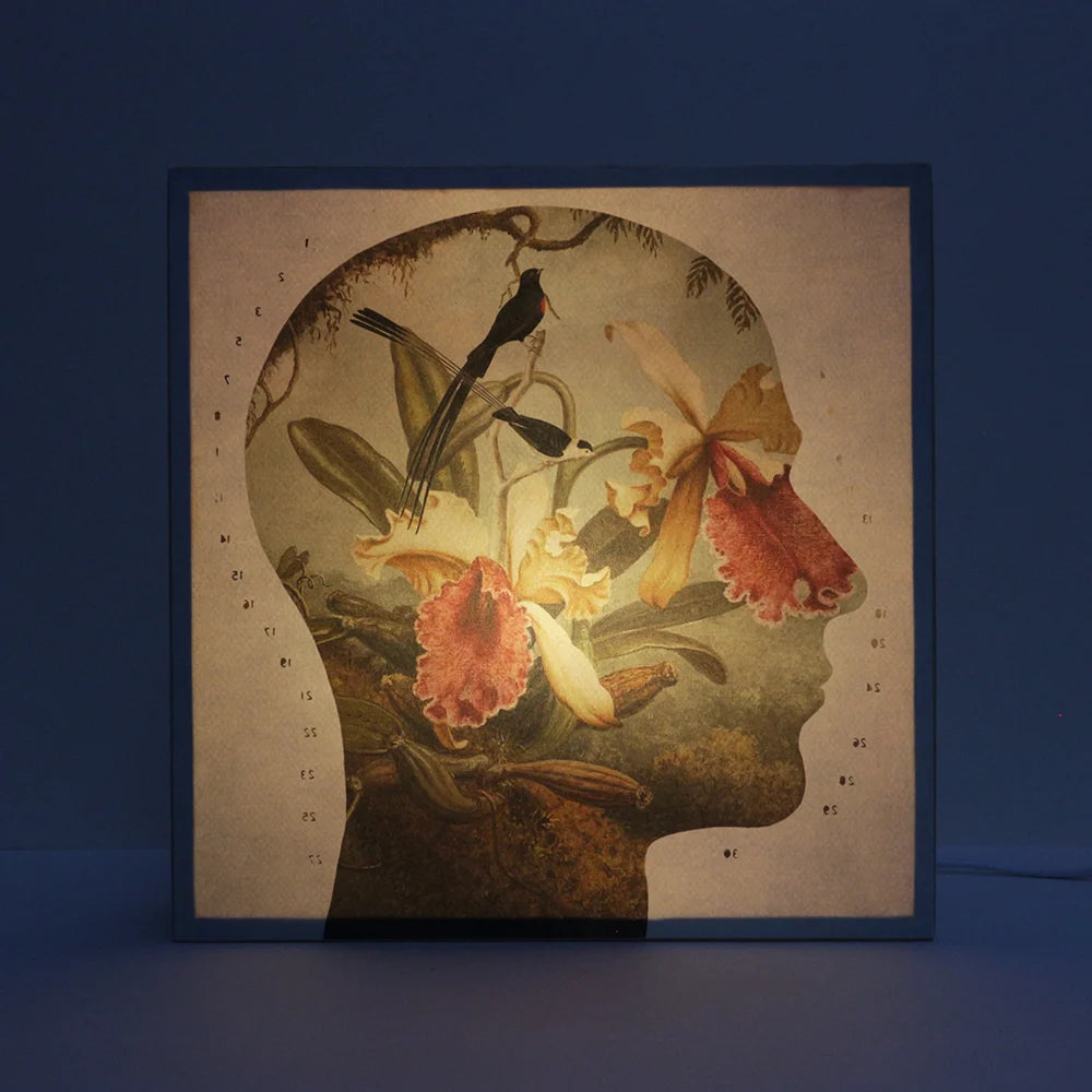 Caja de luz Perfil Botanico