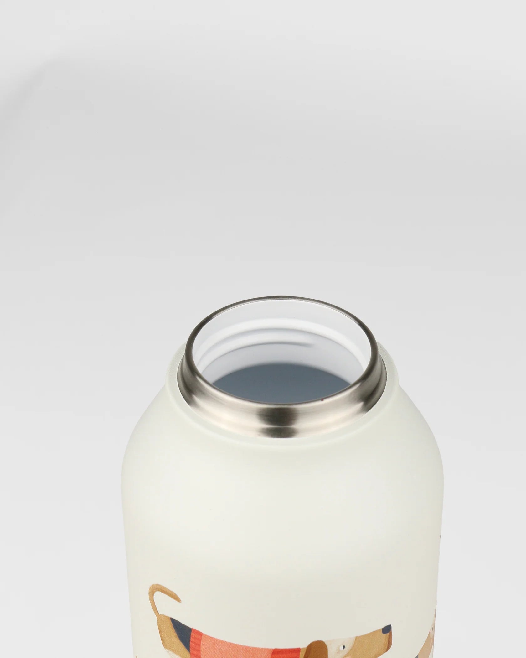 Runbott Mint Thermal Bottle