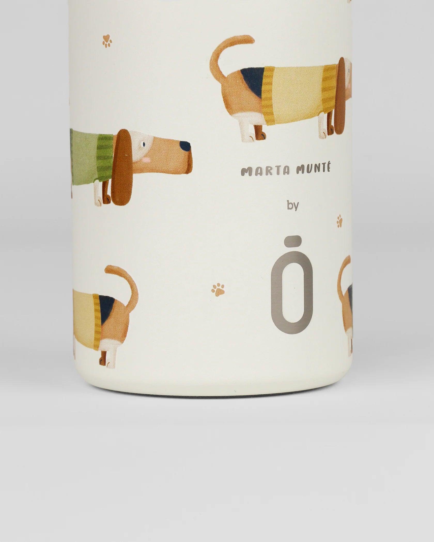 Runbott Mint Thermal Bottle