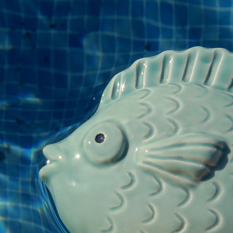 Pez Turquesa decorativo