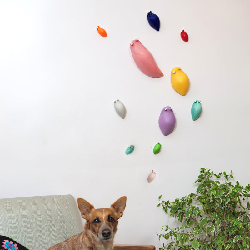 Babosas decorativas mini