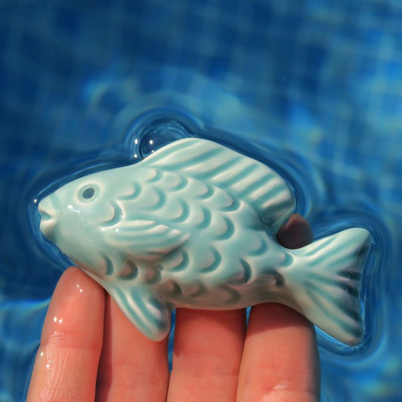 Pez Turquesa pequeño