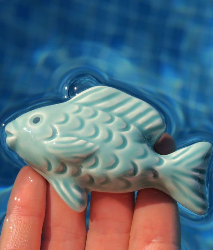 Pez Turquesa pequeño