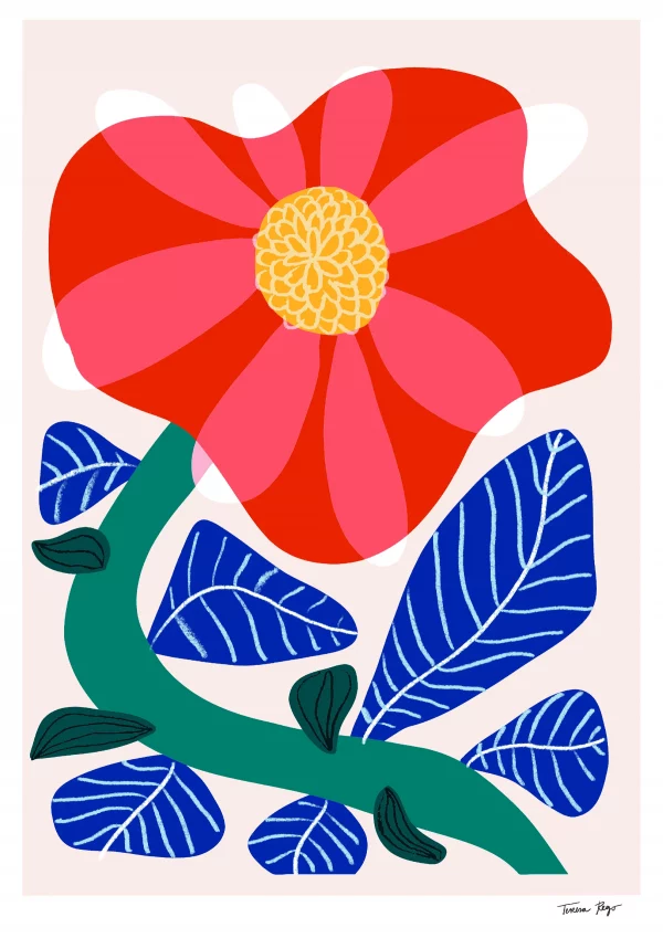 Lámina Camelia
