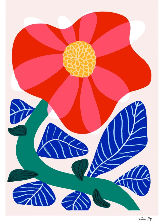 Lámina Camelia
